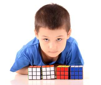   Fluid intelligence