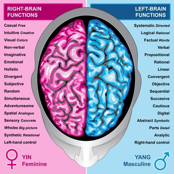 2.12.ABOUT-INTELLIGENCE-IQ