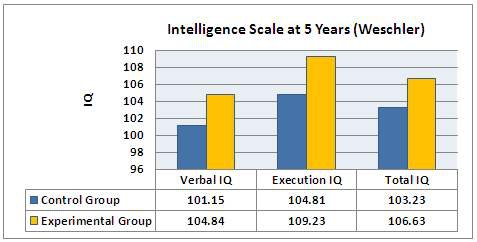 Previous Studies on the Development of Intelligence Using Prenatal Enrichment